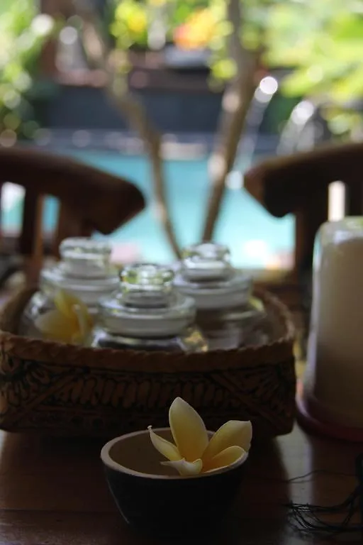 Chez Ida Appartement Ubud 0*,  Indonesië